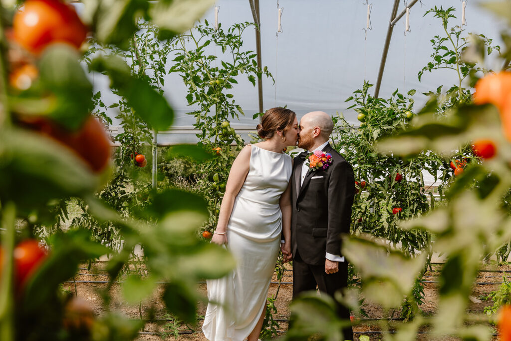 A couple has their first look on their wedding day in a greenhouse at RE Farm Cafe surrounded by tomatoes. The bride is wearing a sleeveless satin dress, and the groom is wearing a black tux with a large boutonniere