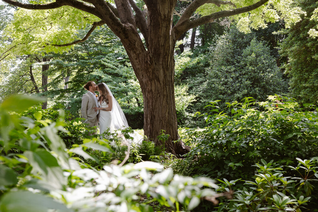 A bride and groom on their wedding day standing under an old tree surrounded by lush greens. The groom is kissing the bride on the forehead.