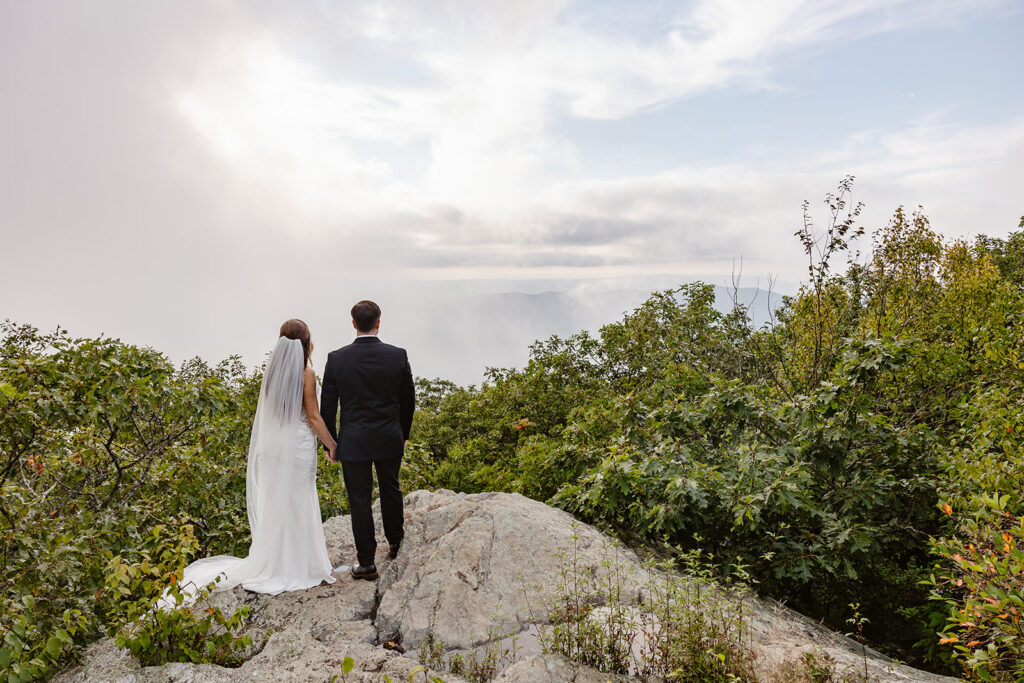 A bride and groom holding hands with their back to the camera. They are enjoying the view of the mountains. They are standing on a large rock