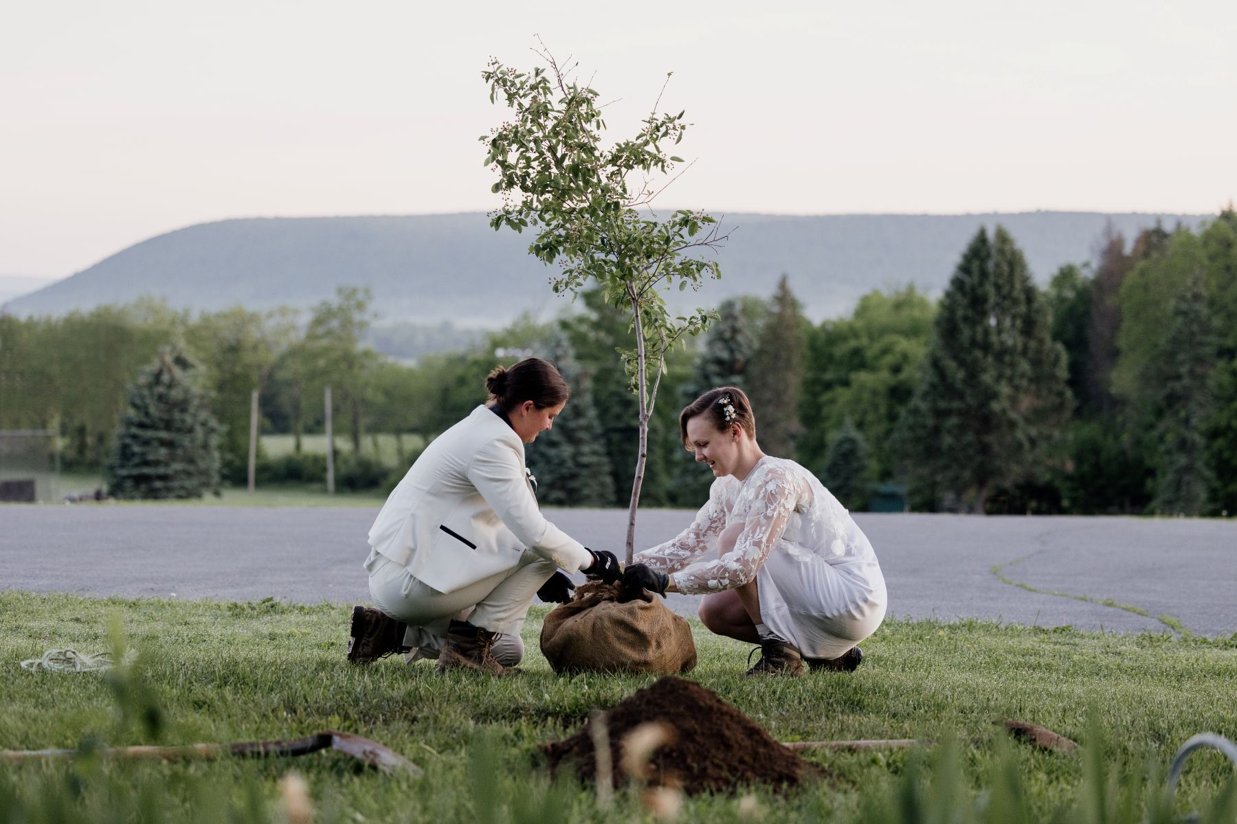 a couple perfomring a tree planting ceremony they are both bending down and touching the bottom of the tree and are wearing gloves