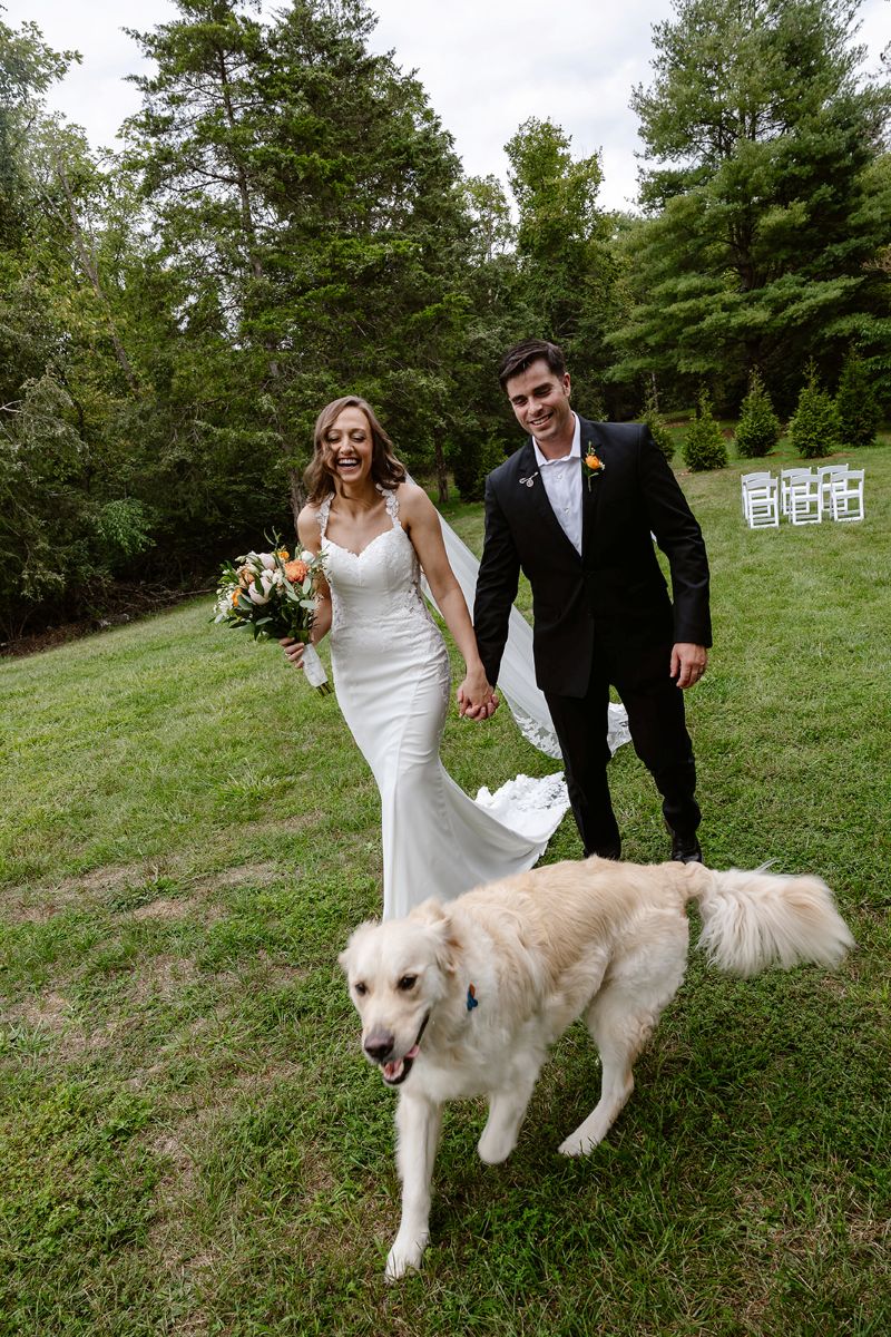 a coule walking on the lawn with their dog the woman is wearing a white wedding dress and veil and holding a bouquet of flowers the man is wearing a black suit 