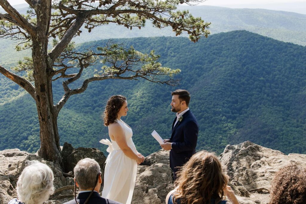A bride and groom exchange vows at an overlook on the Blue Ridge Parkway during their elopement with family