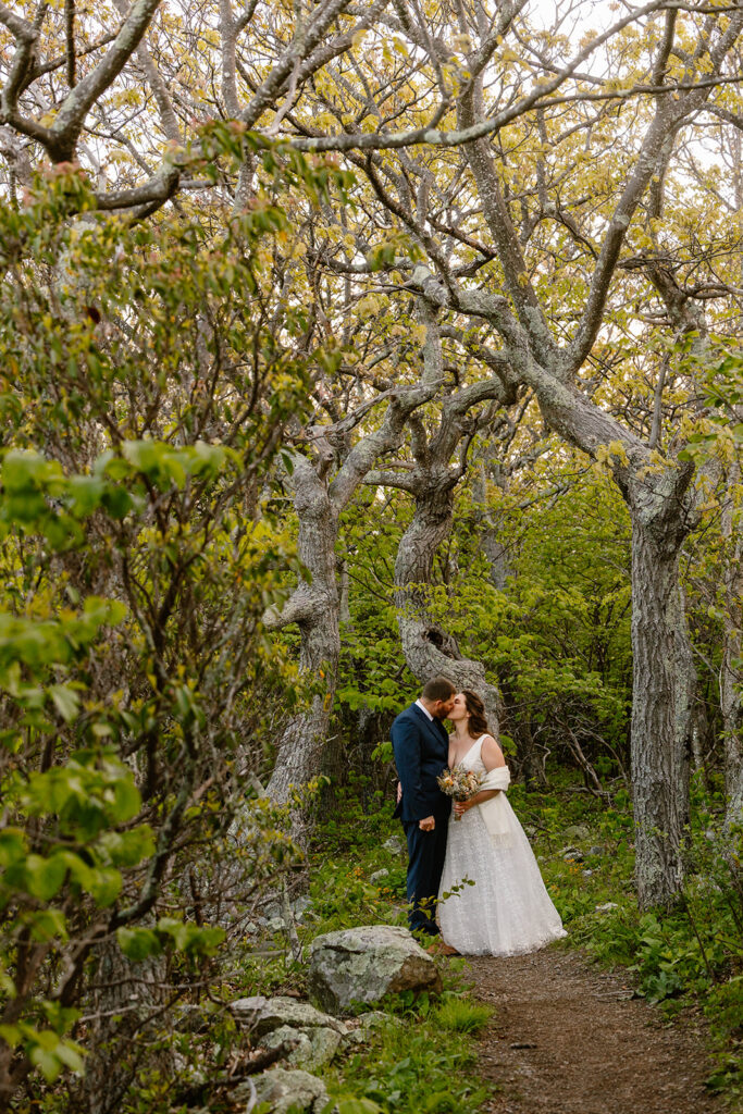 A bride and groom kiss on a trail in Virginia.
