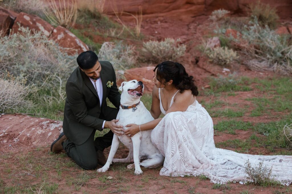 A dog smiles while looking at his human mom on her wedding day. The bride and groom are crouched down next to the dog to shower it with pets.