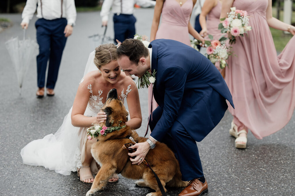 A bride and groom excitedly greet their dog after the ceremony on their wedding day. The dog is wearing a flower collar