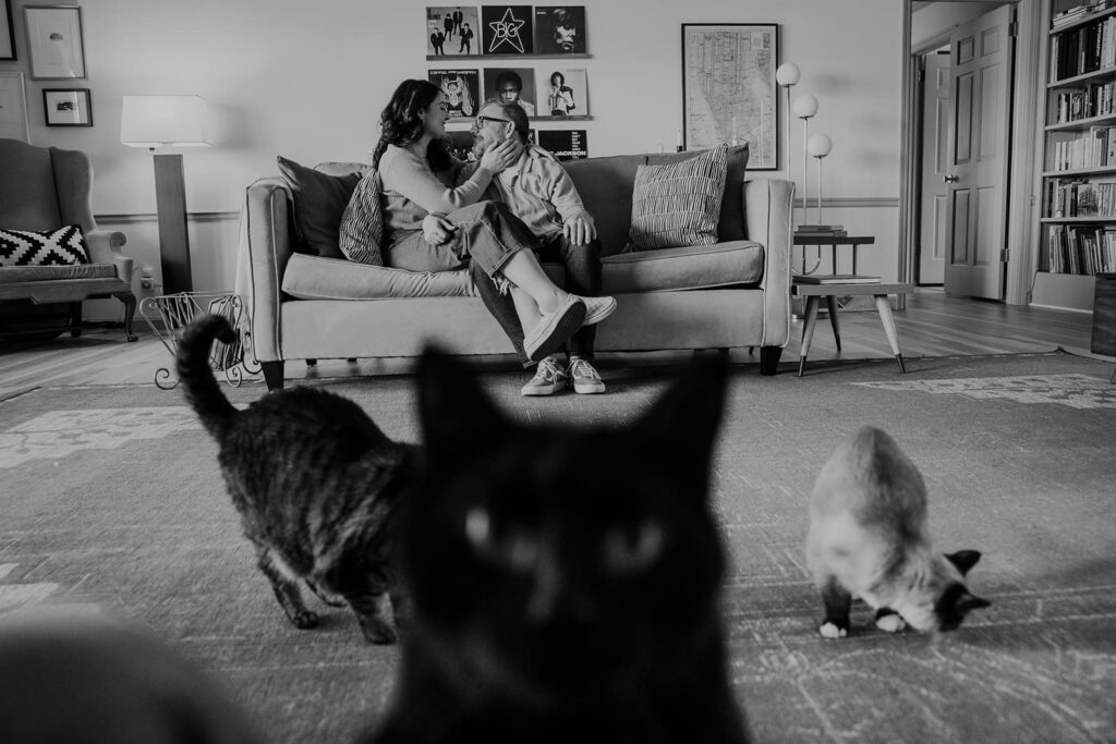 A cat stands right in front of the camera lens while a couple snuggles on the couch during their engagement session