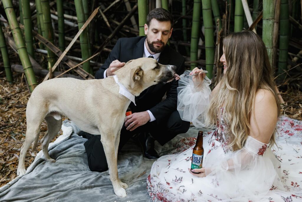A bride feeds her dog a bite of wedding cake during a picnic on their elopement day.