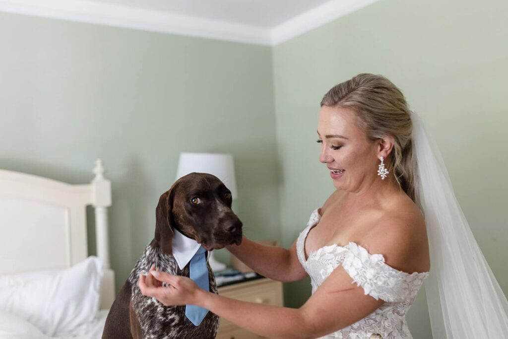A dog gives the camera side eye, and the bride looks at hime lovingly. she is wearing a wedding dress, and the dog is wearing a collar and tie.