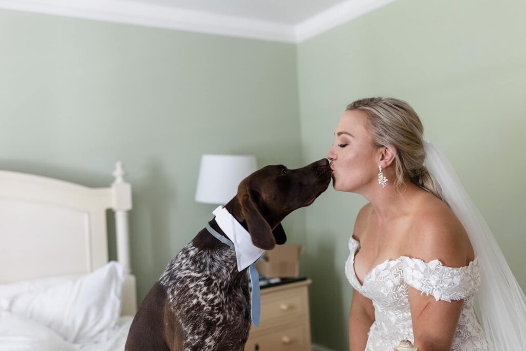 A bride kisses her dog on her wedding day. she is wearing a wedding dress, and the dog is wearing a collar and tie.