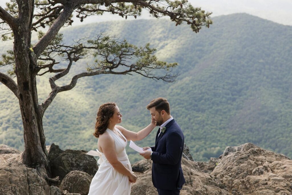 A bride and groom exchange vows on the Blue Ridge Parkway in Virginia