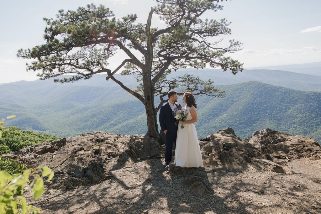A bride and groom stand in front of the Blue Ridge Mountains during their intimate ceremony